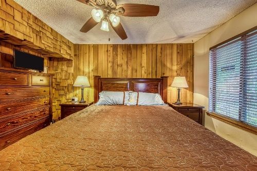 The Lone Star image 11