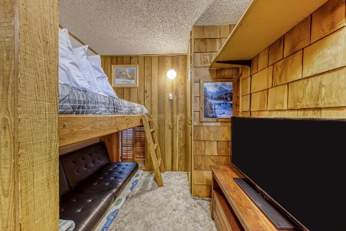 The Lone Star image 13