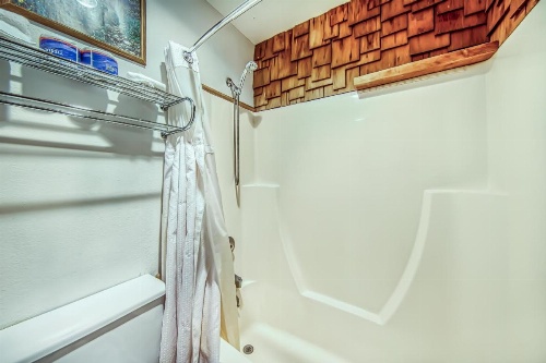 The Lone Star image 14