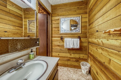 The Lone Star image 15