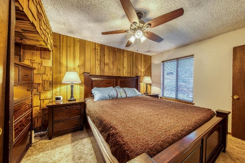 The Lone Star image 19