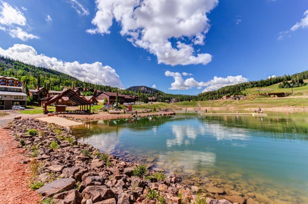 The Lone Star Main image